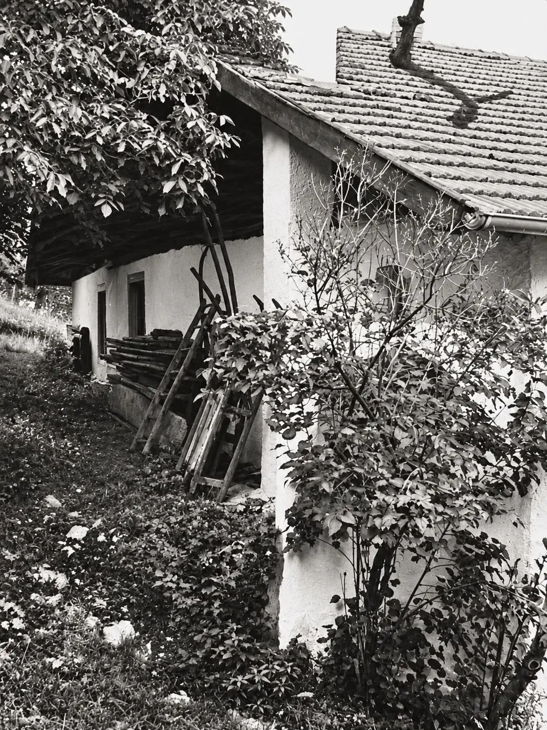 A House with Centuries of History