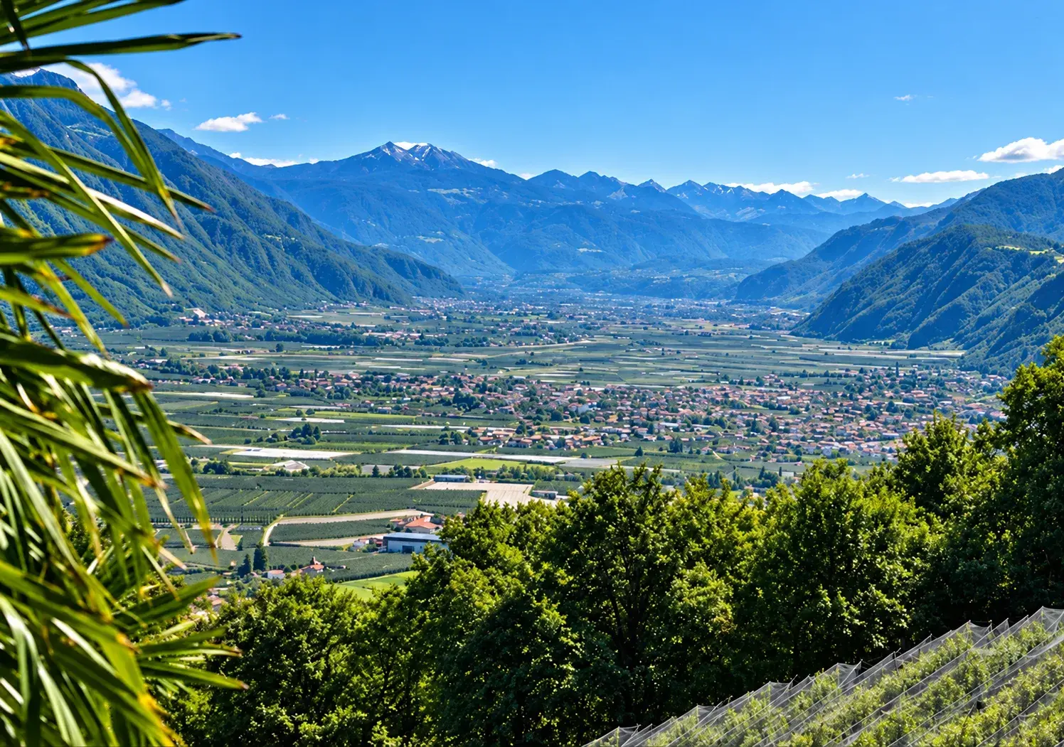 Experience South Tyrol in Motion